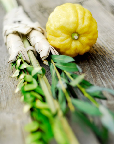 Sukkot