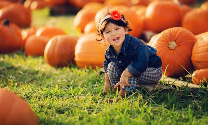 little girl smiling at pumpkin patch