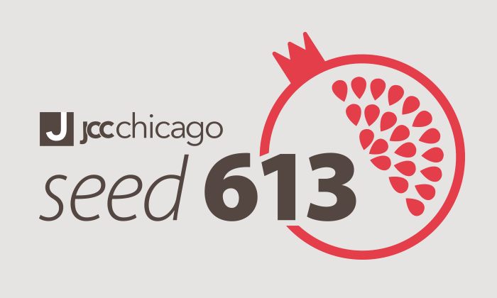 seed 613 logo