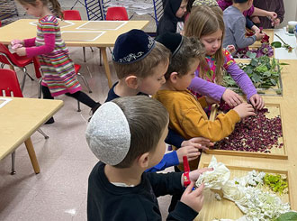 Curriculum & Education